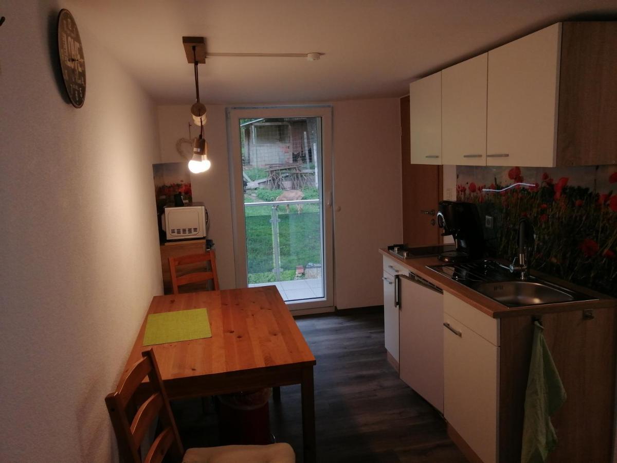 Kleine Wohnung Wutoschingen Extérieur photo